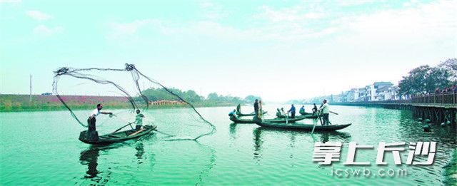 柳林湖良好的水质环境，盛产各种鱼类，湖上捕鱼的渔民正在撒网打鱼。罗杰科摄