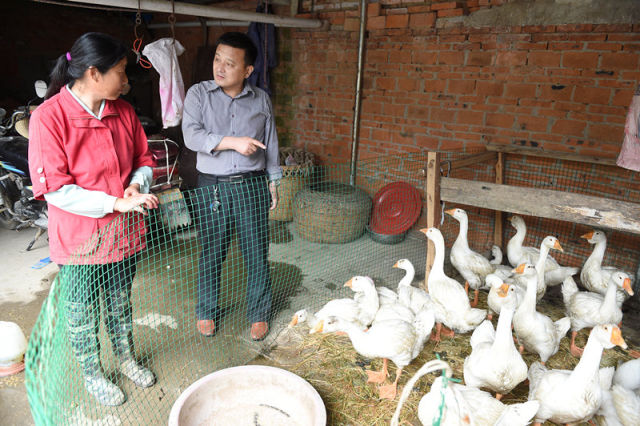 这是安徽省霍邱县长集镇七里棚村第一书记罗炜（右）正在查看村民谢文会家的养鸭情况（5月23日摄）。新华社记者 郭晨 摄