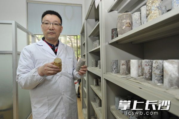 金属矿山安全技术国家重点实验室副主任尹贤刚向记者展示不同的矿石样品。王志伟摄