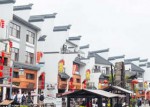提升旅游品质 “旅游啄木鸟”飞进长沙县