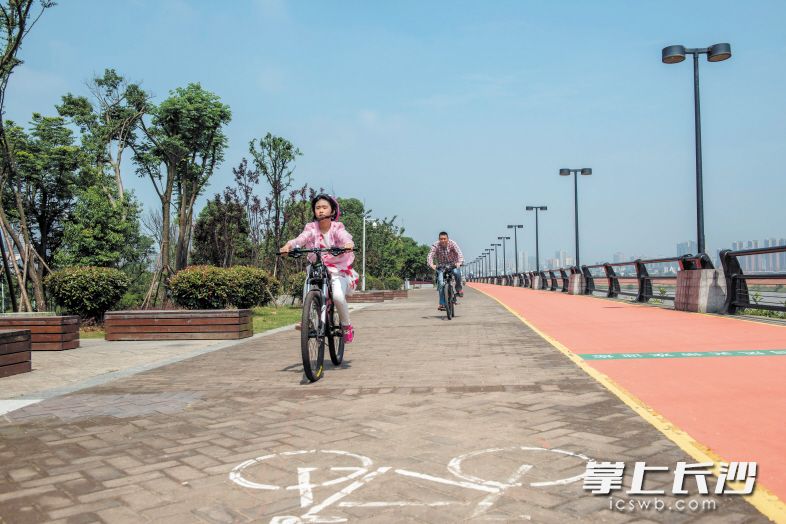 　　2016年，长沙自行车专用车道不断延伸，形成了一个铺向全市的自行车道网络，骑友们可轻松享受骑行休闲赏景之乐。　　长沙晚报记者 李锋 摄