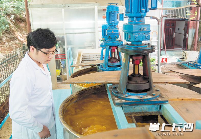 在重金属废水生物制剂处理站，科研人员在观察生物制剂处理过程中水的变化。长沙晚报记者 邹麟 摄