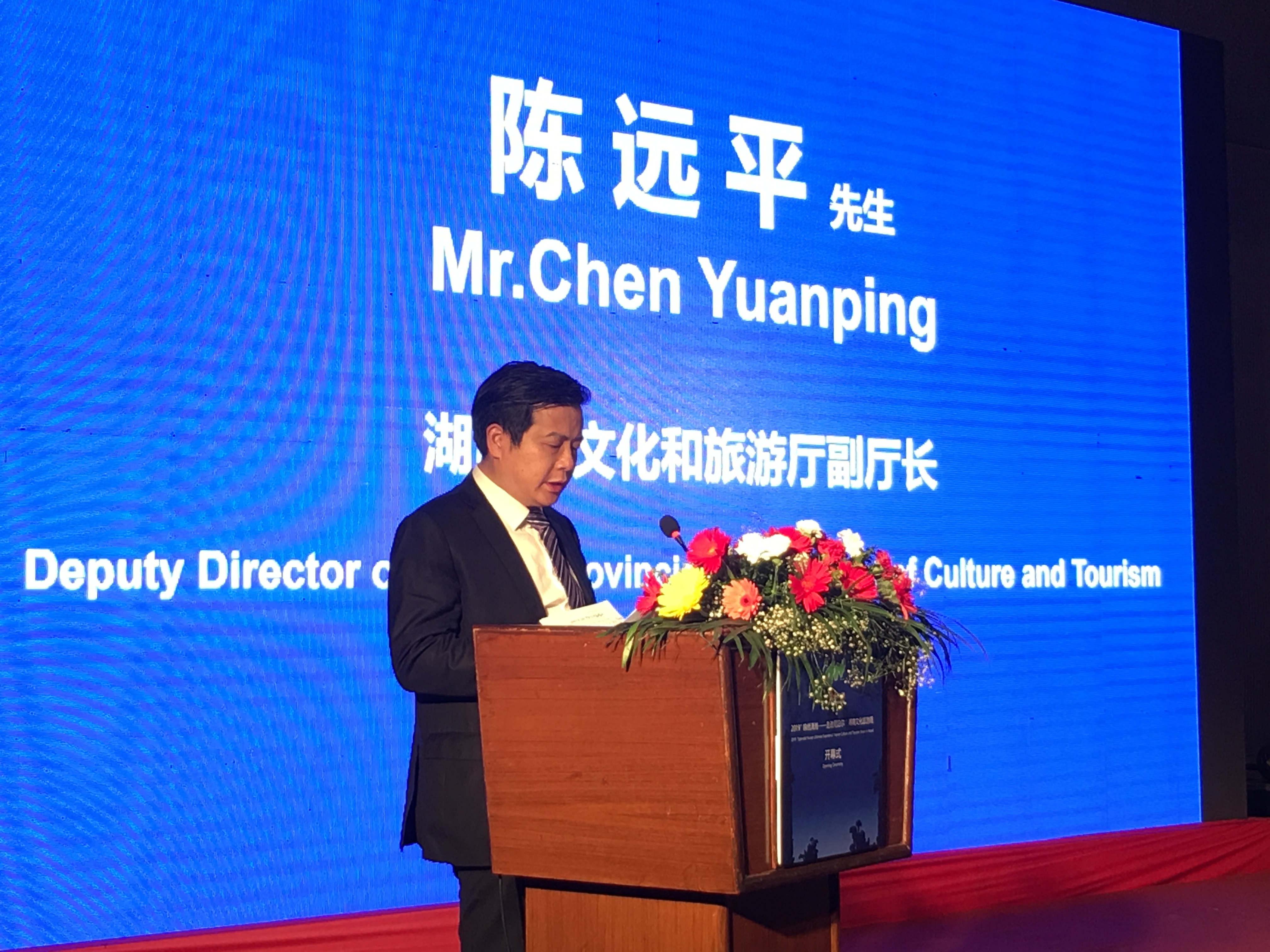 湖南省文化和旅游厅副厅长陈远平在开幕式上致辞。