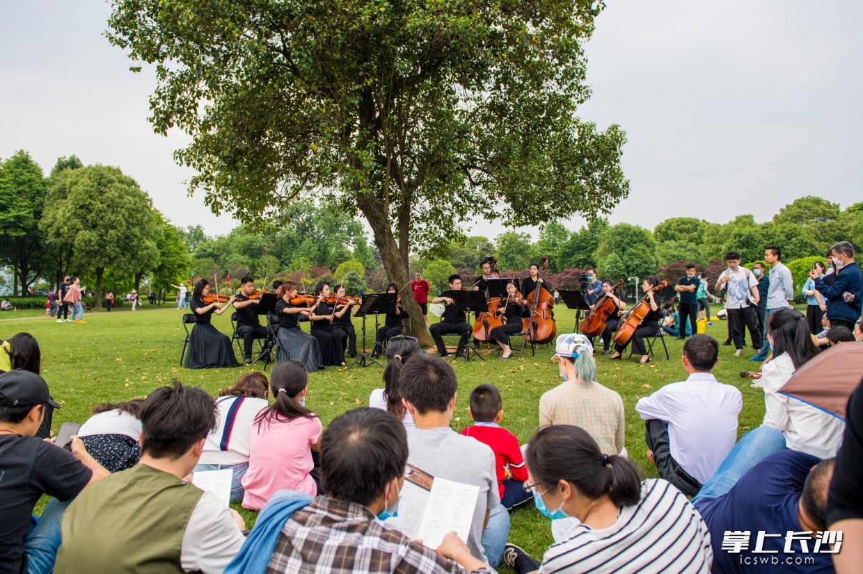 “百场惠民演出进景区”系列活动举行，长沙交响乐团走进橘子洲。邹麟摄