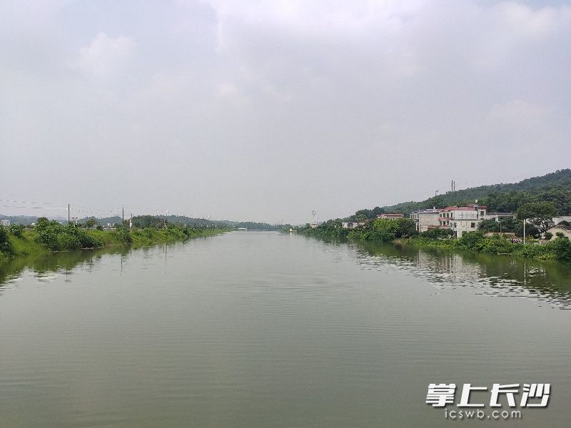靳江河穿村而过，含泰社区掩映在青山绿水中，拥有良好的自然禀赋。 长沙晚报全媒体记者 钱娟 拍摄