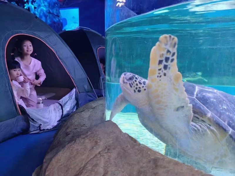“海洋馆奇妙夜”活动现场，孩子们与海底生物不期而遇。均为受访方供图