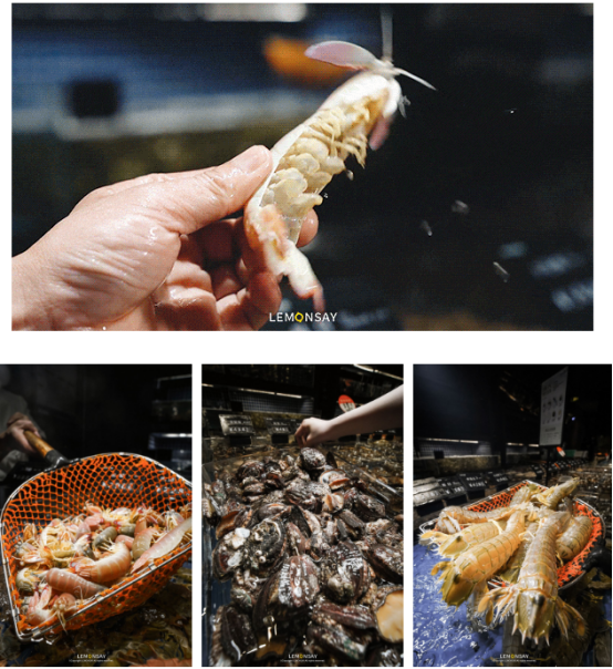 徐记海鲜将深海之美味呈现在餐桌之上，在西安、武汉迅速站住脚跟。