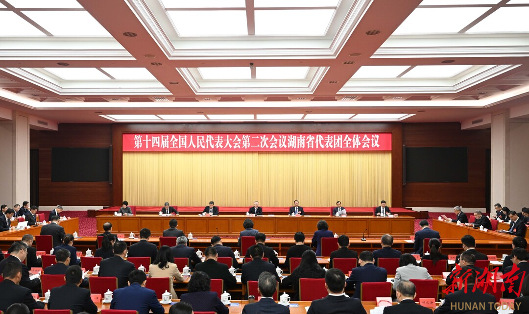 3月11日，出席十四届全国人大二次会议的湖南代表团在驻地举行第六次全体会议。湖南日报全媒体记者 唐俊 刘尚文 摄