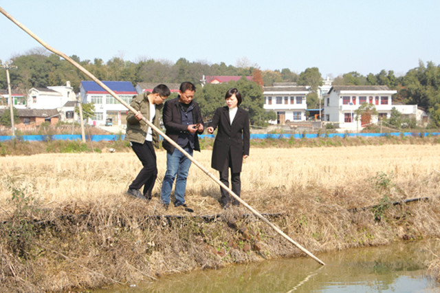王美春（右一）在基地和员工商讨明年的种养规模。今日宁乡记者 刘畅 摄
