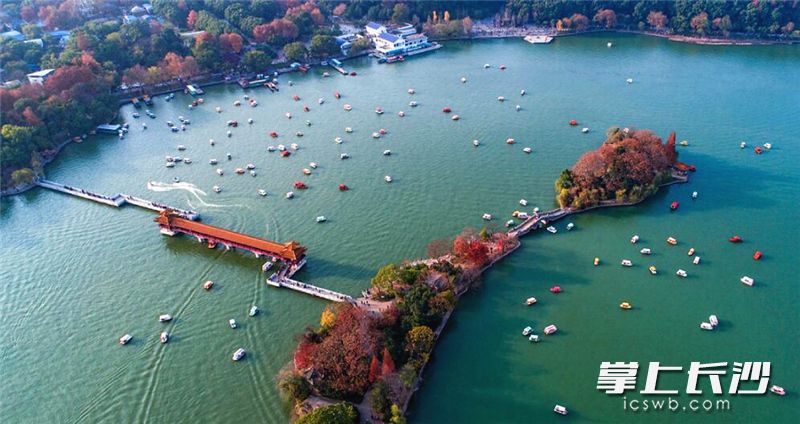 周末暖阳里，市民与游客纷纷登上游船，近距离欣赏色彩斑斓的湖心岛美景。