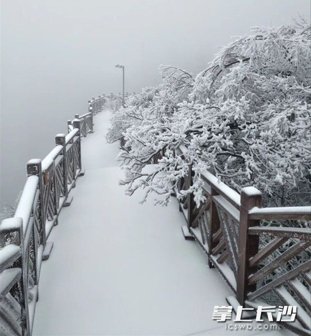 今日，天门山降下大雪。均为网友供图