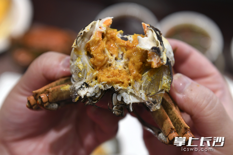 今年大闸蟹的产量与往年持平，由于加强了对水域环境的治理，大闸蟹的出品质量高于往年。