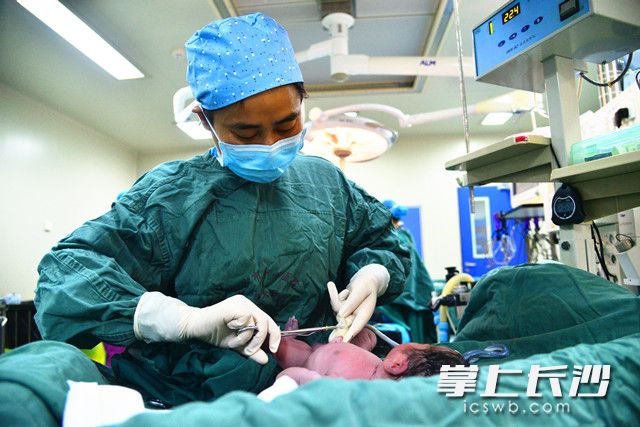张湘玲为刚出生的宝宝剪脐带。照片均为长沙晚报通讯员 陈颖 摄