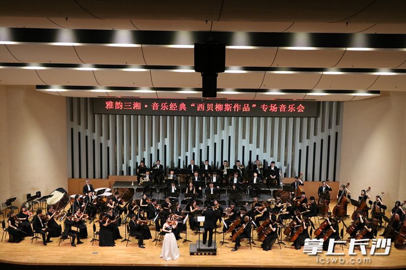 今晚，雅韵三湘·音乐经典——西贝柳斯作品专场音乐会在湖南音乐厅华丽上演。长沙晚报通讯员 朱寒冰 摄