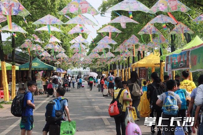 千龙湖举办了国际风筝节
