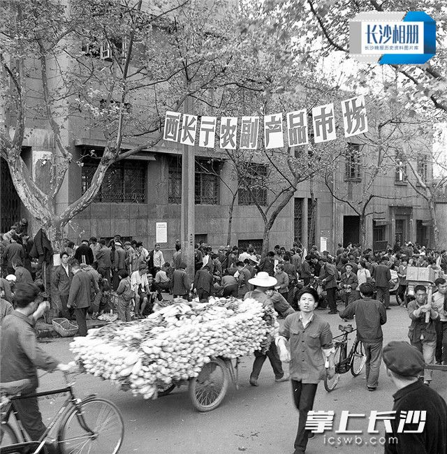1979年4月12日，湘江一桥桥头的西长街农贸市场，人头涌动，改革开放后，西长街农副产品市场率先成为长沙第一个吹响个体经济和第三产业经营的号角的农贸市场。