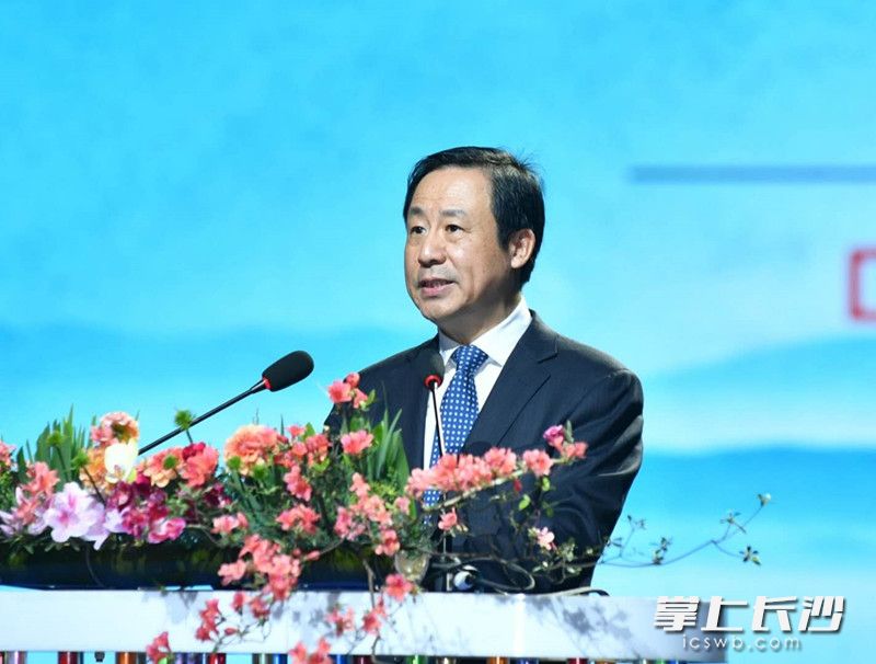 湖南省委副书记、省长许达哲致辞。