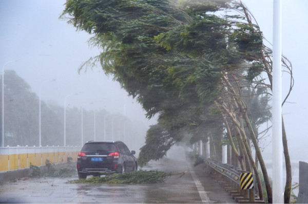 7月11日，连江通港大道上，车辆在狂风暴雨中缓慢行驶。