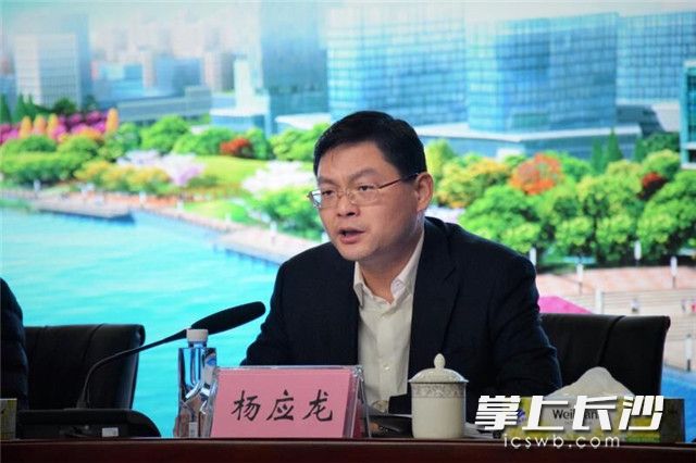开福区区委常委、金霞经开区党工委书记杨应龙发言。