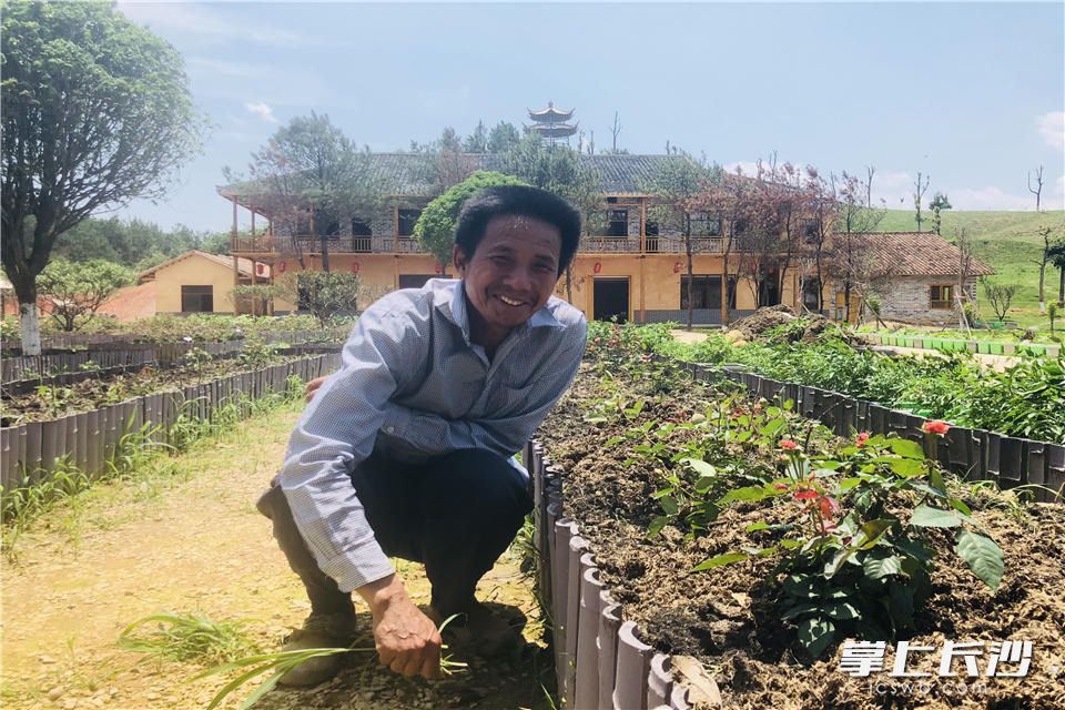 在位于长沙县的金井胖仔有机蔬菜农庄，黄立夫负责打理这里的花花草草，靠自己的劳动挣钱。