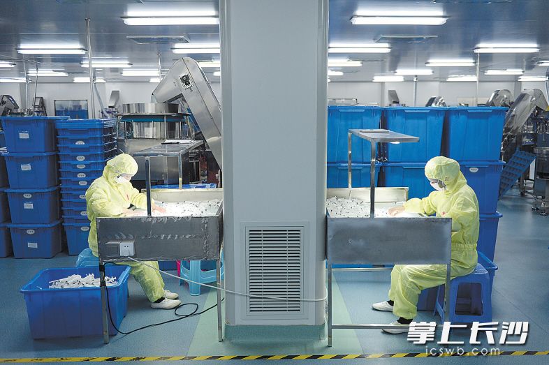 位于澧县经济开发区综合产业园的湖南平安医械科技有限公司，工人们正在紧张地作业。