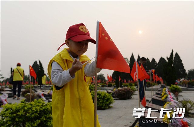 3月31日，广西龙州烈士陵园，一名小志愿者在为革命烈士墓碑献上国旗。