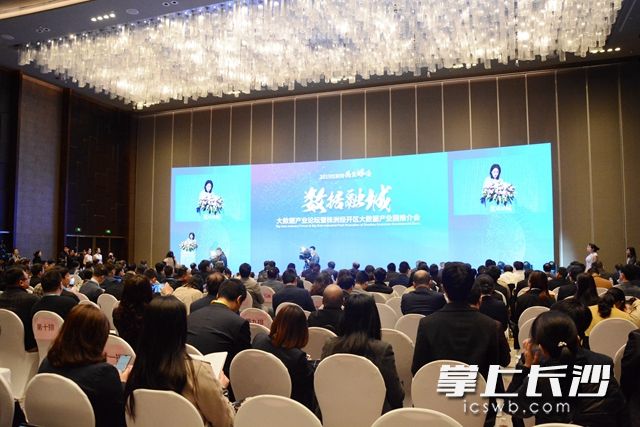 4月3日，2019年岳麓峰会株洲首届大数据产业论坛在长举行。李立婷 摄