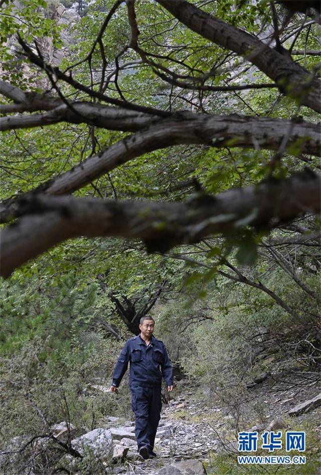 宁夏贺兰山护林员孙国亮在护林区巡山（2013年8月28日摄）。 新华社记者 王鹏 摄