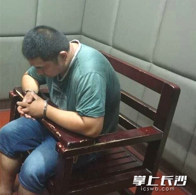 目前，杨某已被依法处以行政拘留10日的处罚。