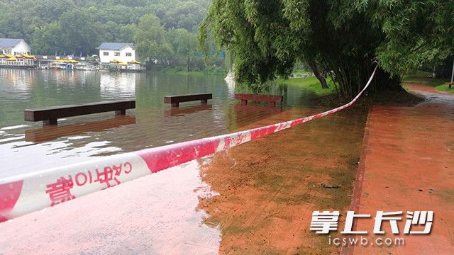 烈士公园年嘉湖边一些亲水游道、亲水平台及临湖栈道被水淹。