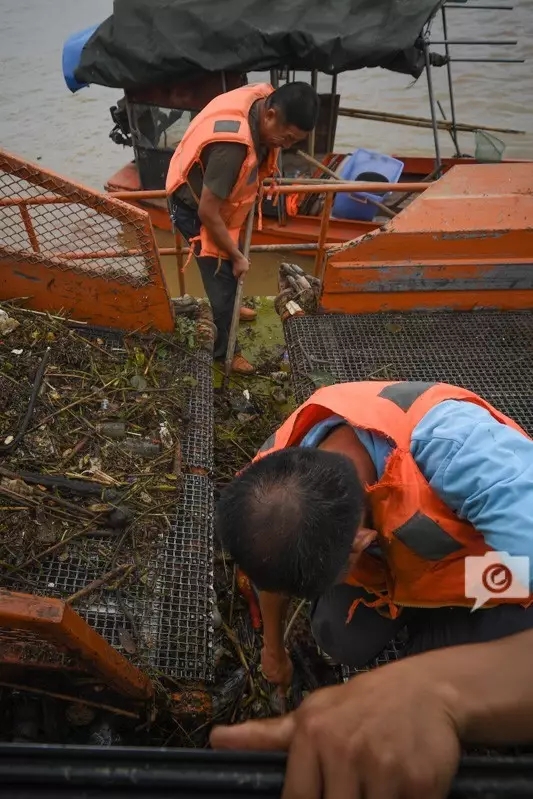 　　转运垃圾的履带经常会被大段树木卡住，徐德明只能用水去清理掉，以保证机器正常运作。