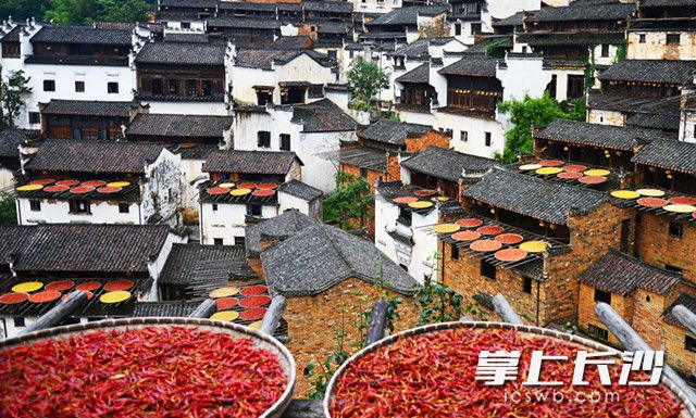 这是8月7日在江西省婺源县江湾镇篁岭村拍摄的村民晾晒的辣椒等农作物。