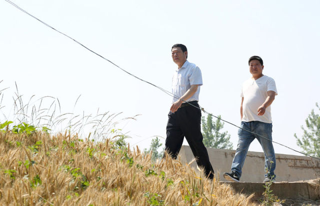 这是安徽省涡阳县郑店村第一书记牛坤杰（左）实地查看村内的交通建设情况（5月26日摄）。新华社发