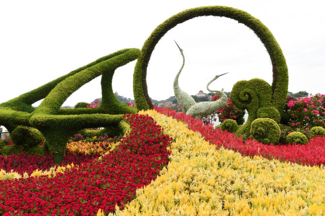这是厦门轮渡音乐喷泉广场上由“白鹭”“钢琴”和“浪花”等组成的花坛（9月2日摄）。新华社记者 林善传 摄
