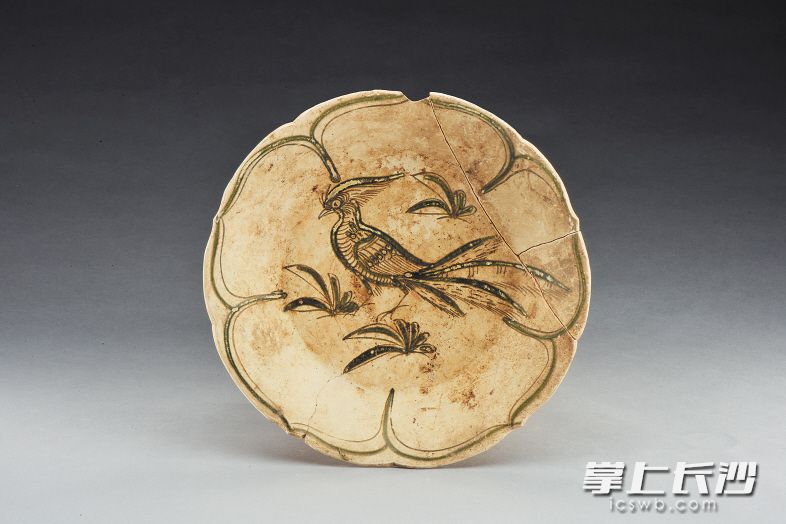 石渚湖出土的花鸟瓷碟。