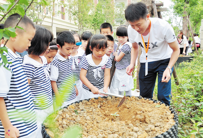 昨日，芙蓉区大同瑞致小学的孩子们共植向日葵。长沙晚报通讯员 黄其雄 摄