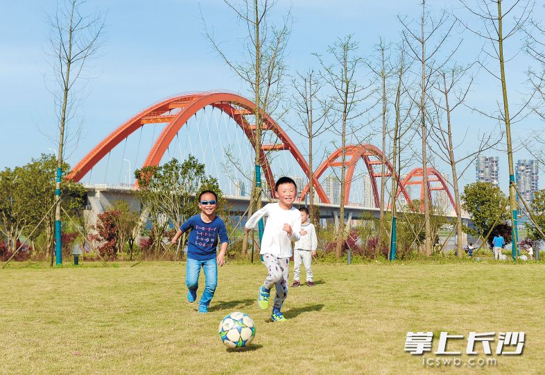 蓝天下，孩子们在湘江西岸的草地上快乐地玩耍。