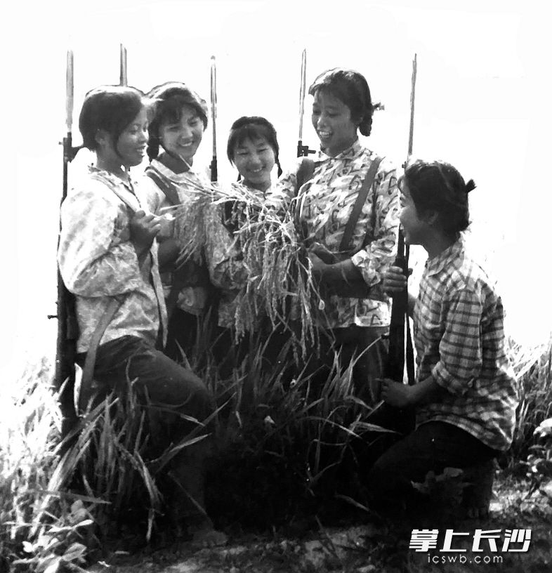 田间地头，女民兵在一起交流生产和训练经验。