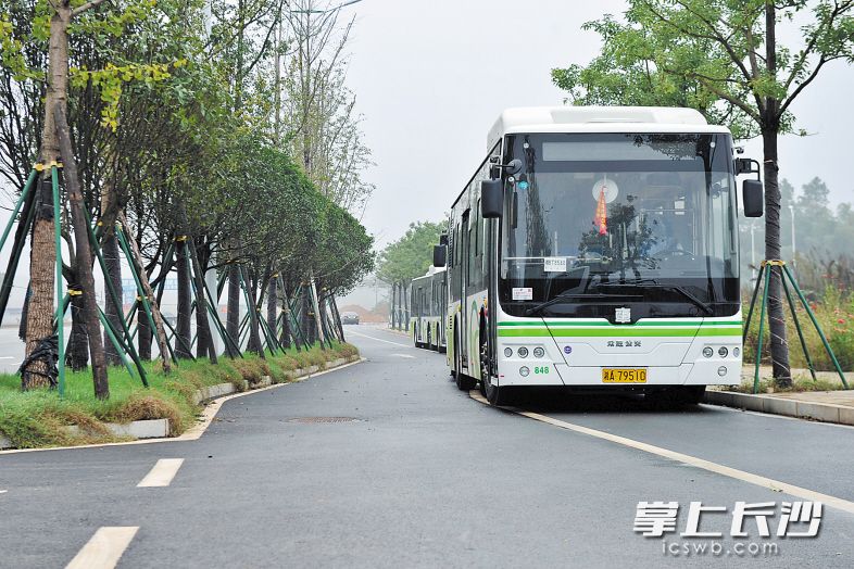 望城经开区新开通6条公交线路，解决了园区出行最后一公里问题。王志伟 摄