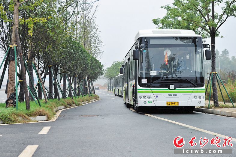 　　望城经开区新开通6条公交线路，解决了园区出行最后一公里问题。王志伟 摄