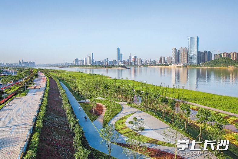 湘江西岸南段绿带提质改造，建成的江滩公园绿意葱茏。