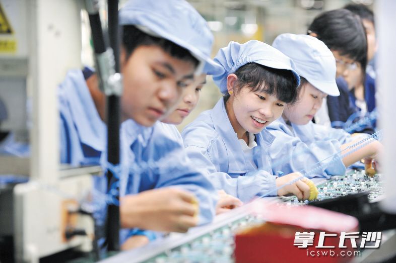 在威胜科技园生产中心电装车间，几位女工正在插线工位上精细化操作。　　长沙晚报记者 小刘军 摄
