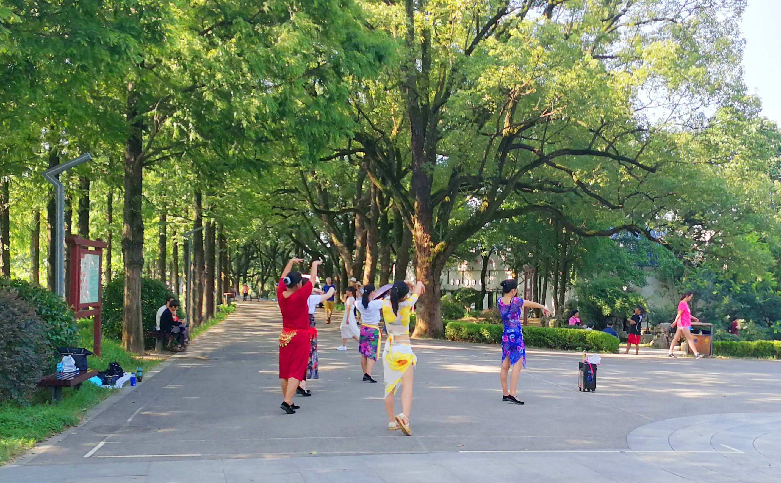 高温下，市民在公园绿树阴下，吹着凉风，开展活动，其乐融融。