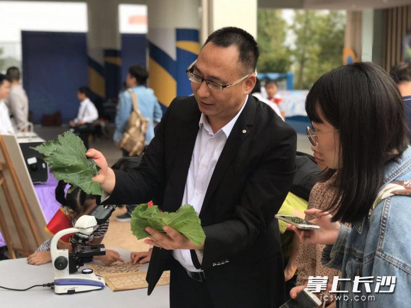 来自湖南省桑蚕科学研究所的老师在指导学生和家长认识蚕种和桑叶。