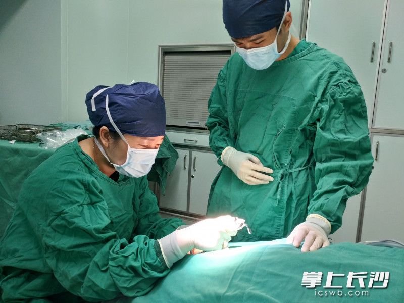 王巍毅教授为患者施行食道镜下异物取出术。湖南省人民医院 供图。