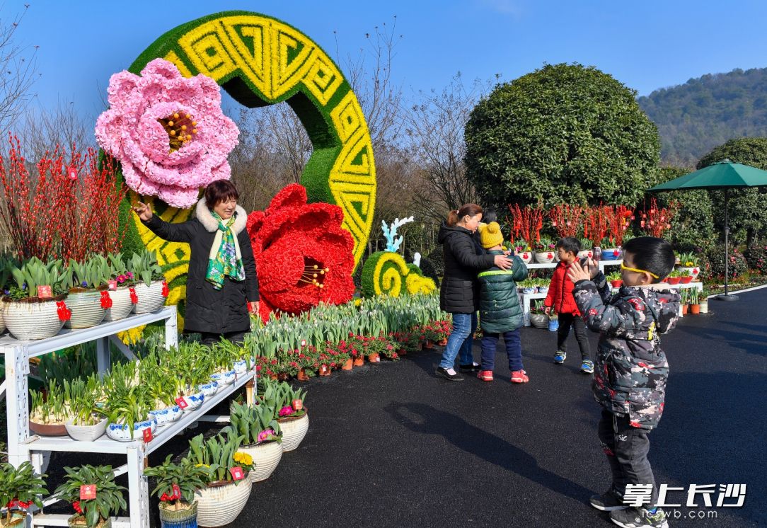 1月12日，2020长沙（莲花）新春园艺花会在岳麓区莲花镇龙洞花卉谷举行，附近居民和游客们正在暖阳下游玩拍照。