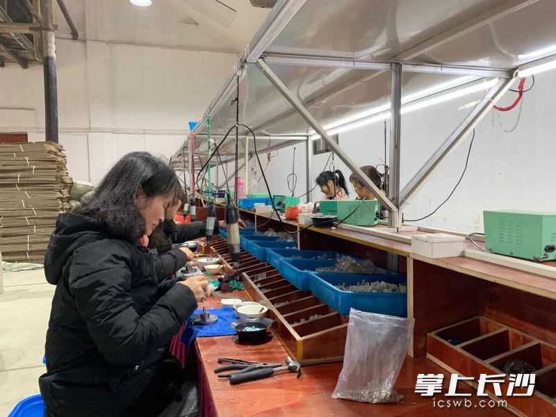 在岳阳市湘阴县岭北镇，镇上办起了加工厂，妇女们在家门口就业，今年春节过得格外从容。长沙晚报全媒体记者 周游 摄
