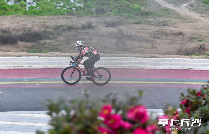 潇湘大道望城段，市民在自行车道上骑行。