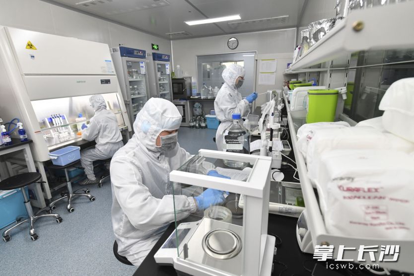 位于湖南省检验检测特色产业园的艾科瑞实验室内，“全副武装”的工作人员在紧张实验。