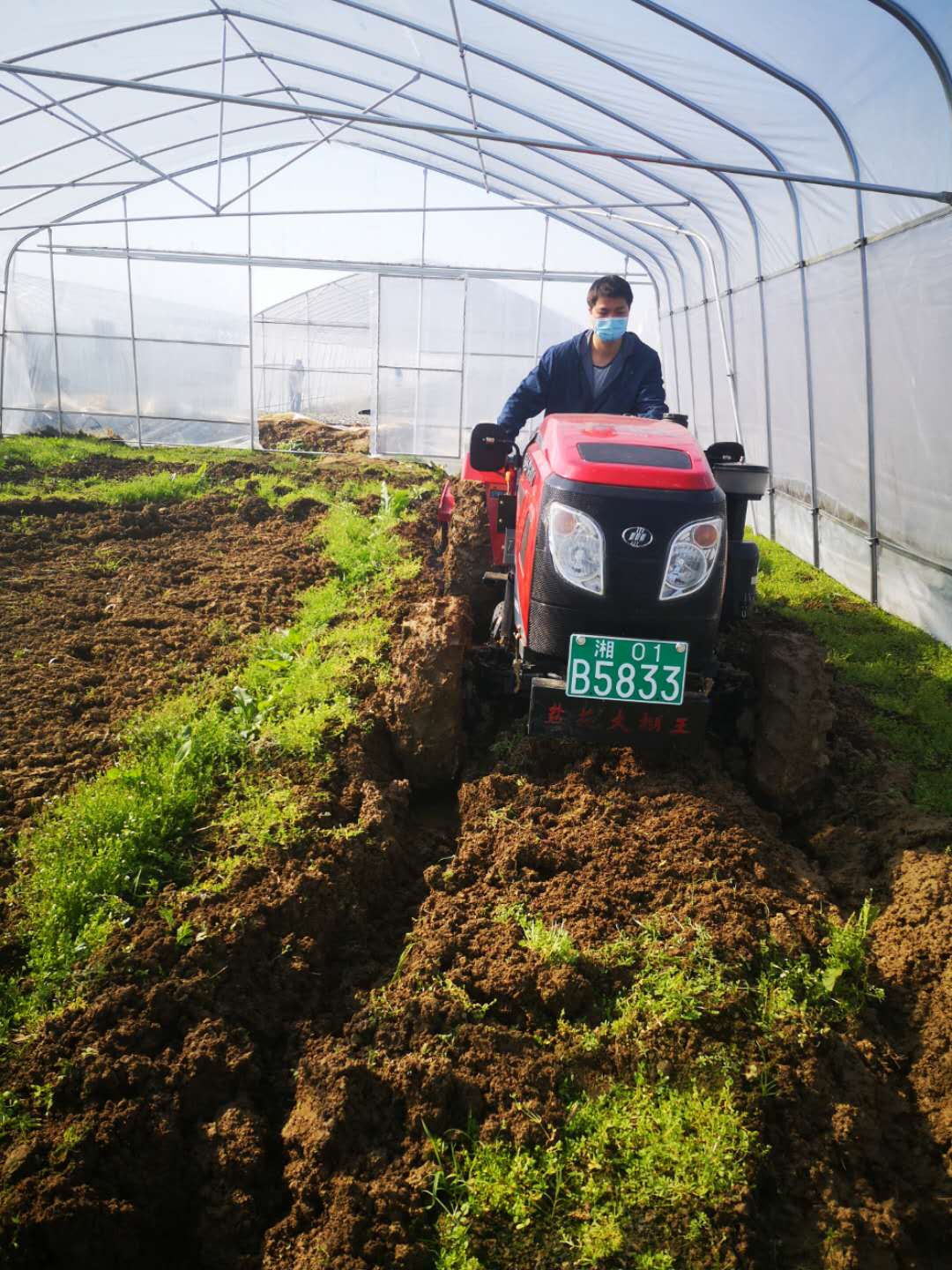 长沙市望城区设施蔬菜示范园内一辆翻耕机正在翻耕。朱华摄影